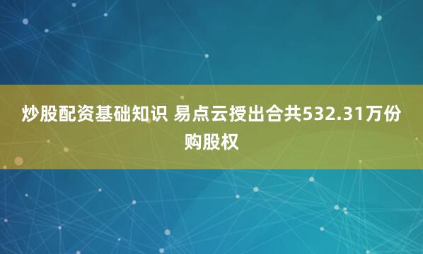 炒股配资基础知识 易点云授出合共532.31万份购股权
