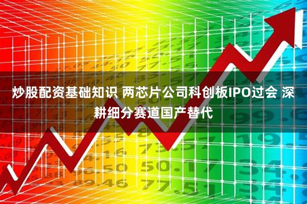炒股配资基础知识 两芯片公司科创板IPO过会 深耕细分赛道国产替代